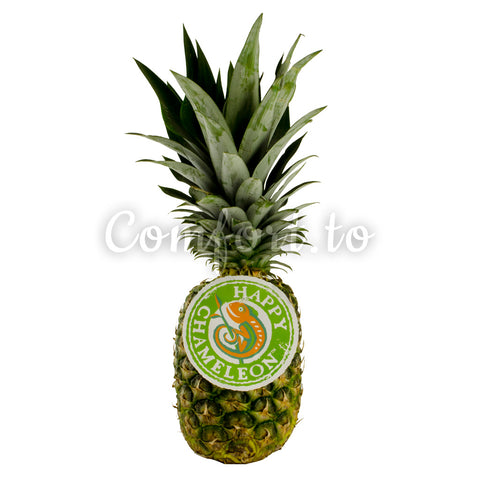 Pineapple, average size
