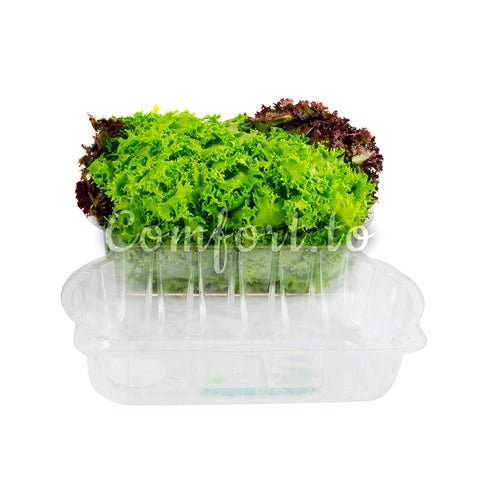 Mucci Farms Trio Lettuce, 1 pack