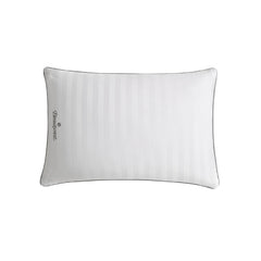 $10 OFF - Beautyrest Platinum Feather Pillow, 2 pillows