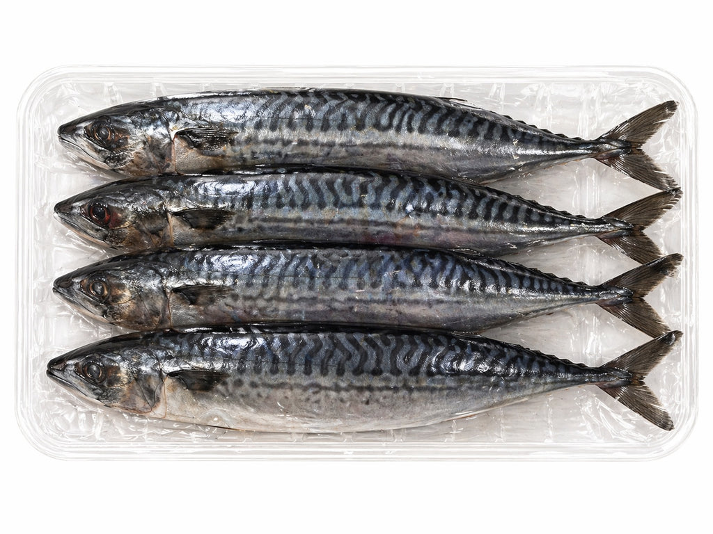 Kirkland Wild Mackerel (previously frozen), 1.8 kg