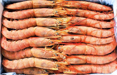 Kirkland Previously frozen Wild Argentine shrimp, 1.5 kg