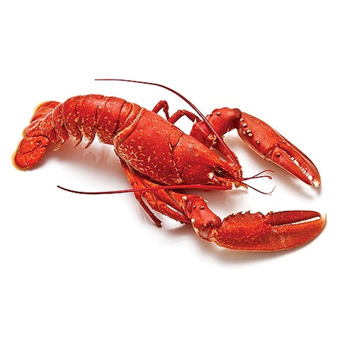 Kirkland Previously frozen whole cooked Lobster 1-3 , 1.8 kg