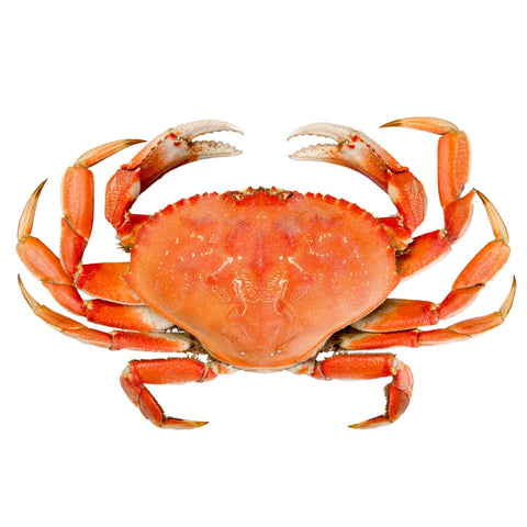Kirkland Previously frozen whole cooked Dungeness Crab 1-2, 1.7 kg