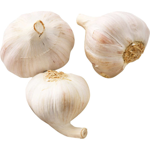 Fresh bag of Garlic, 1 lb