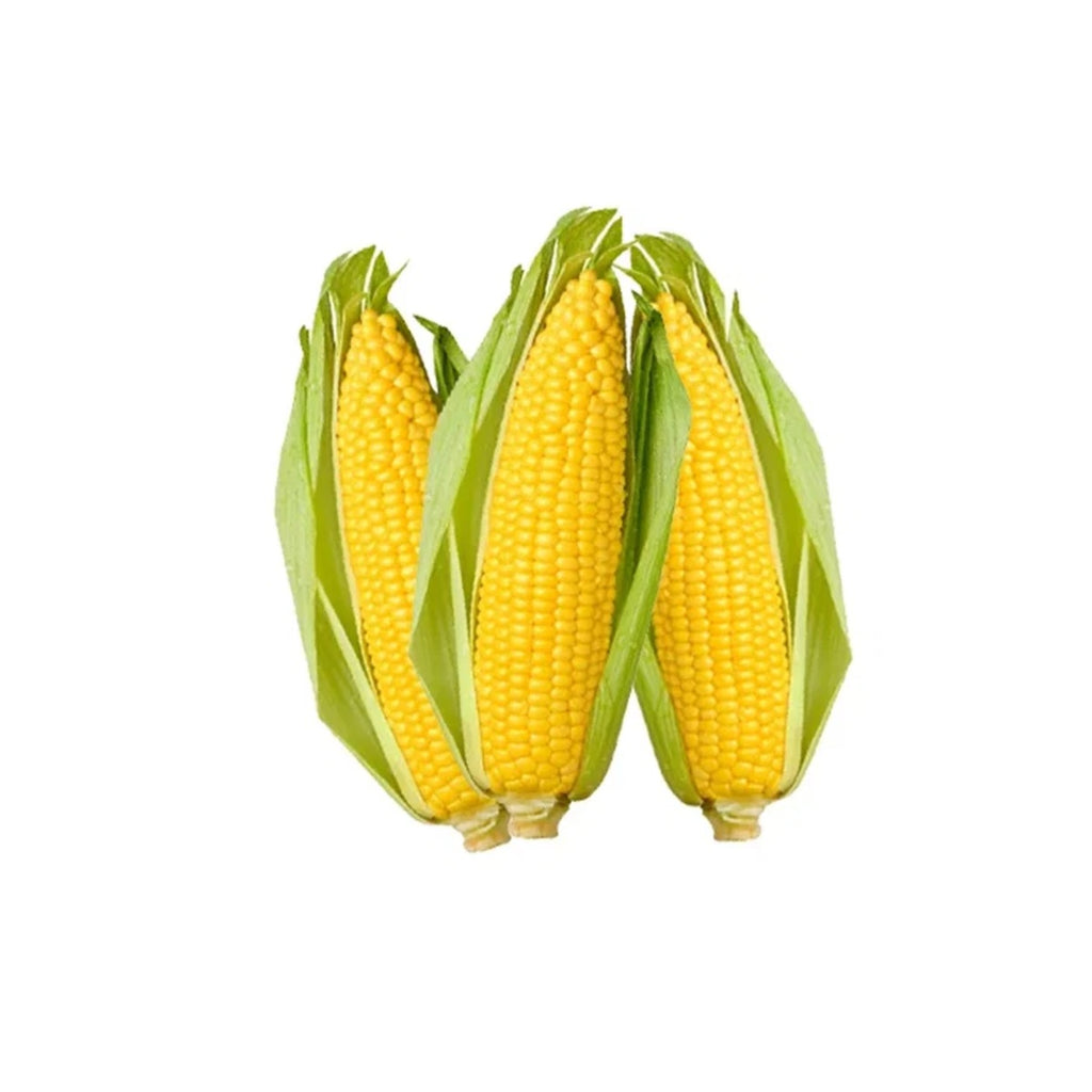 Corn on the cob, 8 Counts