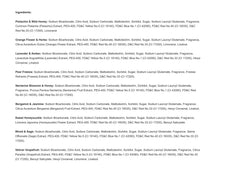 Winter in Venice Doughnut Bath Bombs, 9 bombs