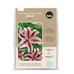 Tasc Assorted Flowering Bulbs(Lilium), 15 bulbs