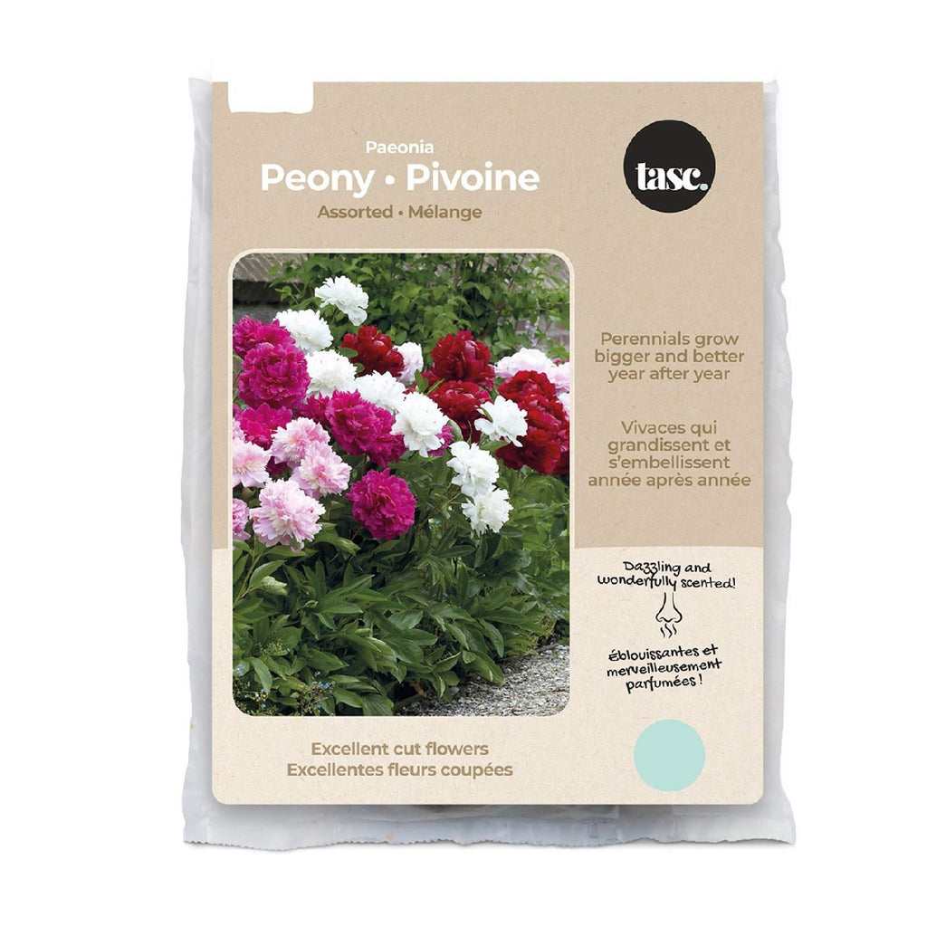 Tasc Assorted Flowering Bulbs(Peony), 4 perennials