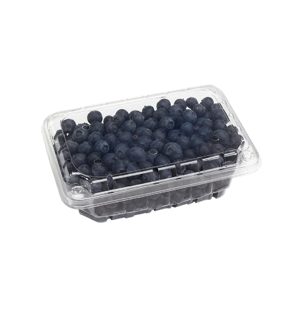Organic Blueberries, 510 g