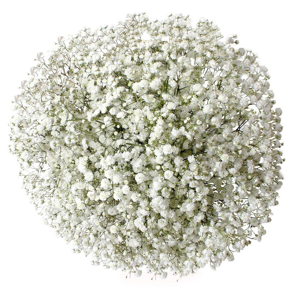 Floral Arrangment, 1 bouquet
