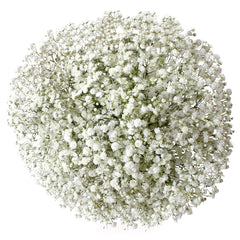 Floral Arrangment, 1 bouquet