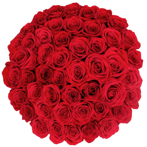 Rainforest Certified Roses, 24 stems