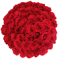 Rainforest Certified Roses, 24 stems