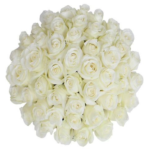 Rainforest Certified Roses, 24 stems