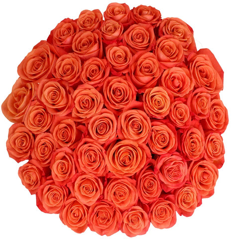 Rainforest Certified Roses, 24 stems