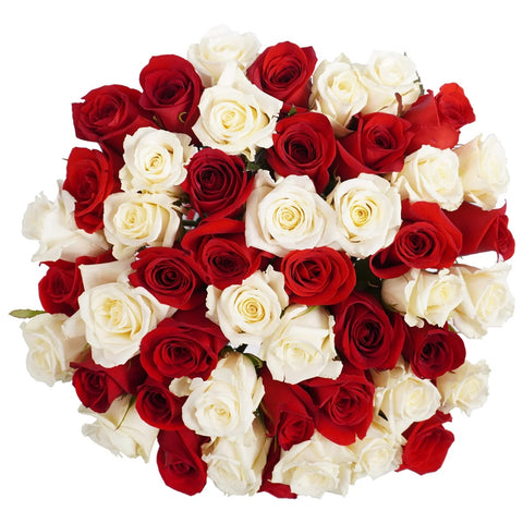 Rainforest Certified Roses, 24 stems