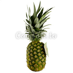 Pineapple, average size