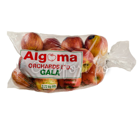 Organic Gala Apples, 5 lb